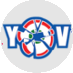 youngvolley
