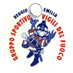 vvf reggio